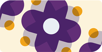 Reflections and New Beginnings